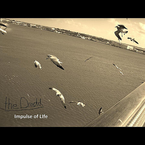 Impulse of Life