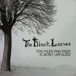 A Secret Unfolded (Album Version)
