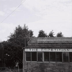 Lyre Birds of the in Between