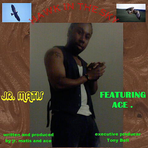 Hawk in the Sky (feat. Ace)
