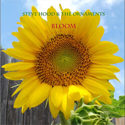 Bloom (feat. Fred Koslov, Fernando "Pup" Martinez, Jon Hiilton & Alex Martinez)