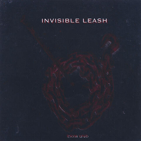 Invisible Leash