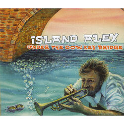 Under the Cow Key Bridge