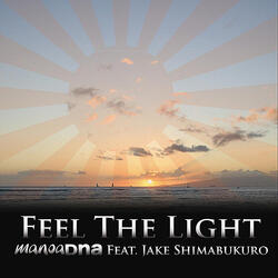 Feel the Light (feat. Jake Shimabukuro)