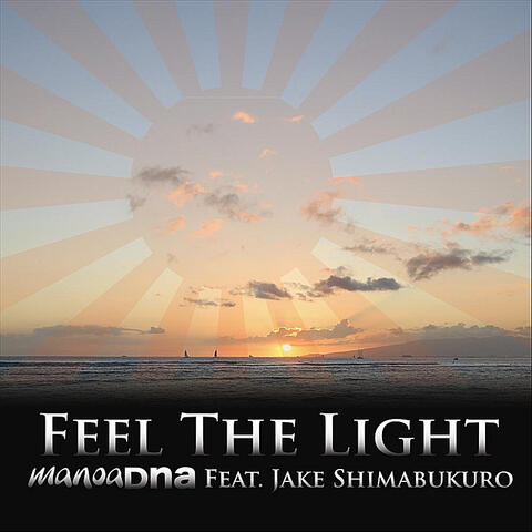 Feel the Light (feat. Jake Shimabukuro)