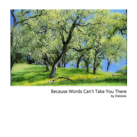 Because Words Can't Take You There