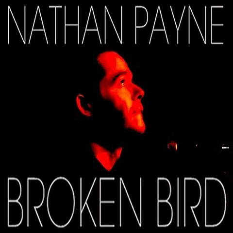 Broken Bird