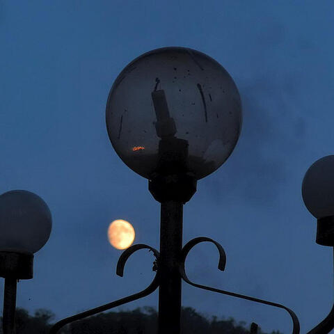 Quiet_Night