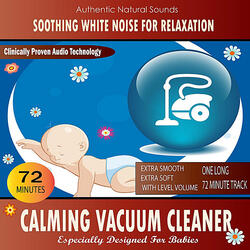 Calming Vacuum Cleaner (Especially Designed For Babies)