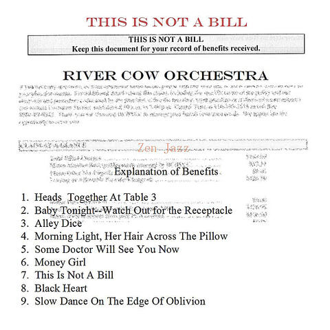 This Is Not a Bill