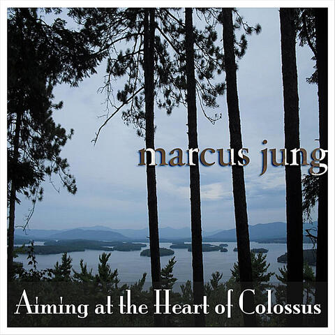 Aiming At the Heart of Colossus