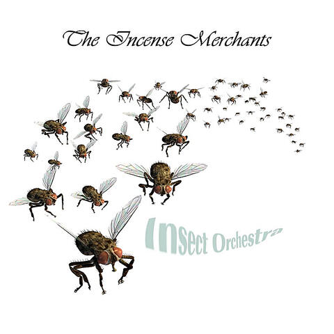 Insect Orchestra
