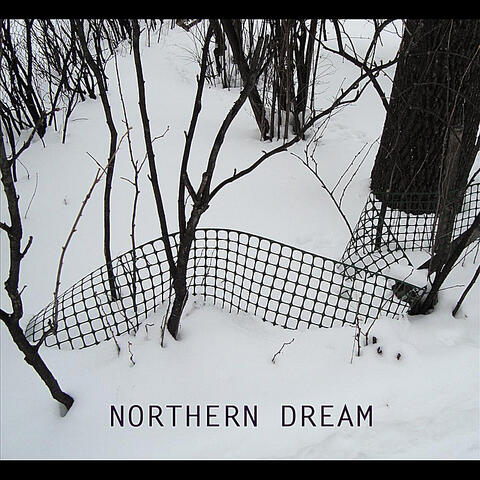Northern Dream