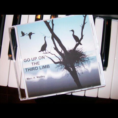 Go Up On the Third Limb