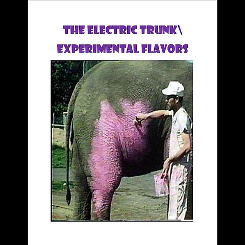 Experimental Flavors