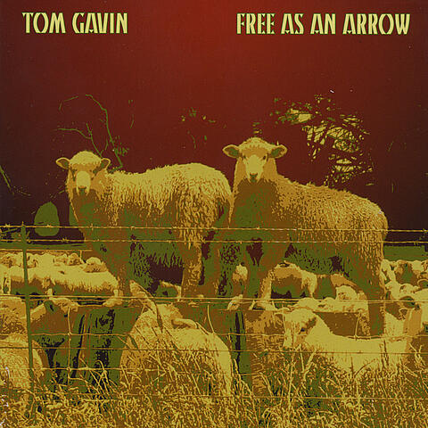 Free as an Arrow