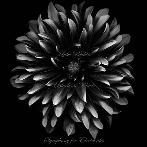 Black on Black, Symphony for Electronics