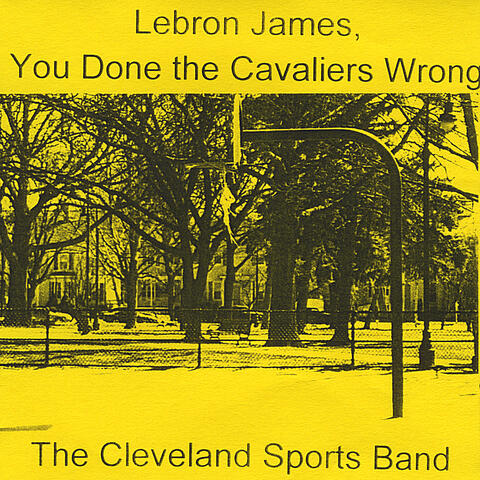 Lebron James, You Done the Cavaliers Wrong - Single
