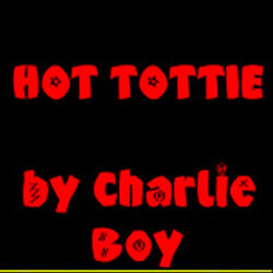 Hot Tottie (The remix In A Teenage Dream)