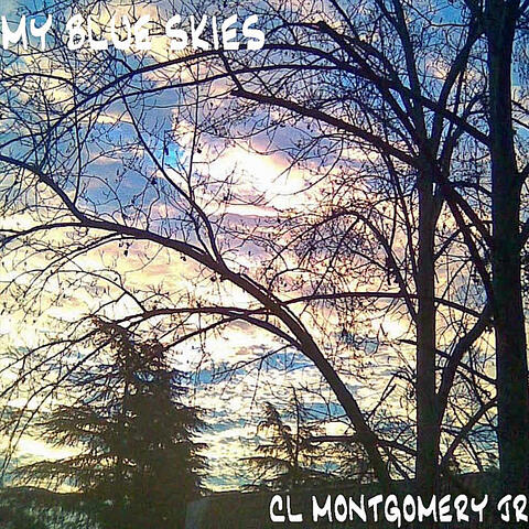 My Blue Skies
