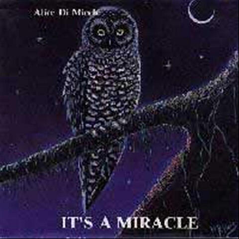 It's A Miracle