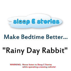 Rainy Day Rabbit