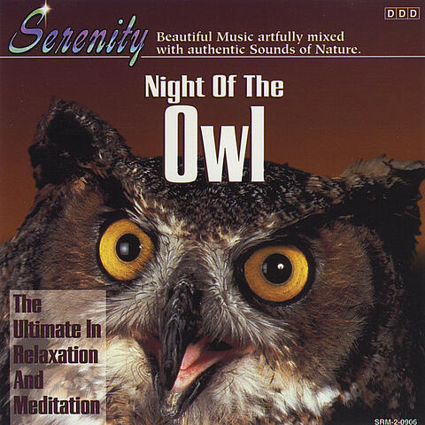 Night of the Owl - Single