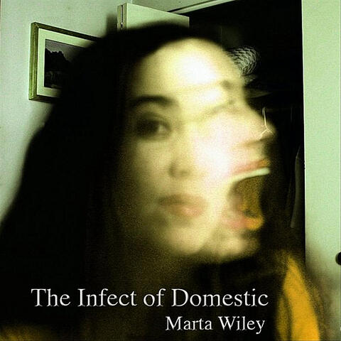 Infect of Domestic