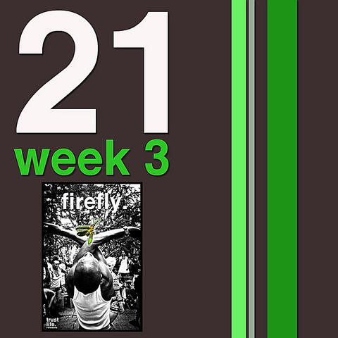 21 Weeks: Week 3: Firefly