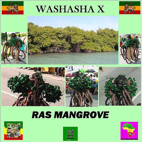 Ras Mangrove