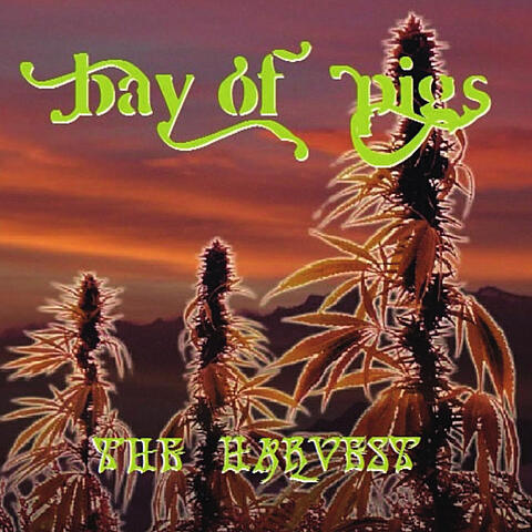 The Harvest