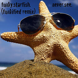 Never See (Funkified Remix)