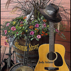 Fiddlin' In the Ole Red Barn