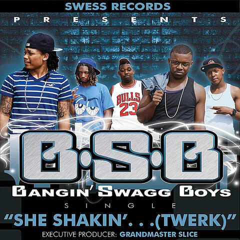 She Shakin' ... (Twerk) [Swess Records Presents]