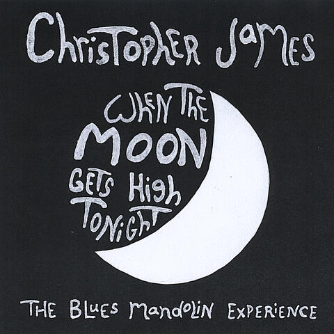 When the Moon Gets High Tonight (The Blues Mandolin Experience)