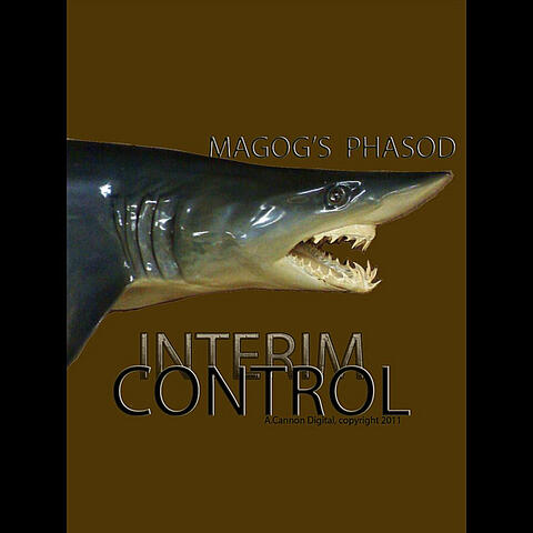 Interim Control
