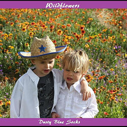 Wildflowers
