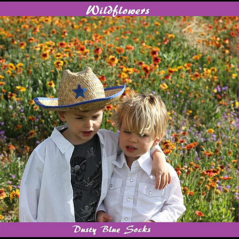 Wildflowers