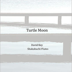 Turtle Moon (Remix)