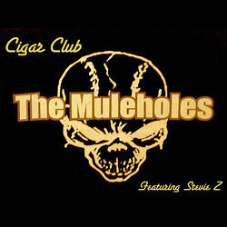 Cigar Club (feat. Stevie Z)