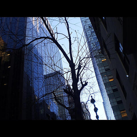 The Tree of Song