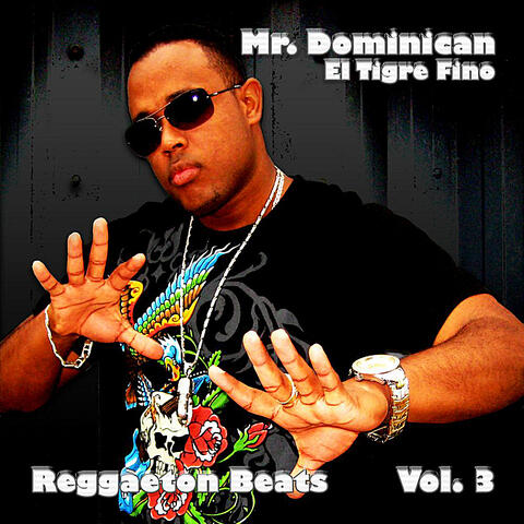 Reggaeton Beats, Vol. 3
