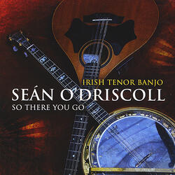 Well Now / You Might Be Right / Contrary Times, Reels (feat. Larry Egan & Donncha Moynihan)