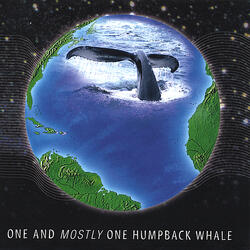 One Humpback Whale