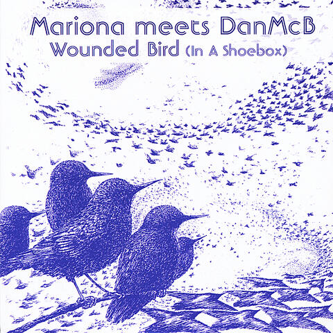 Wounded Bird (In a Shoebox) [Mariona Meets DanMcB]