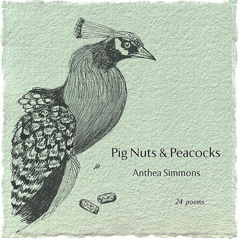 Pig Nuts & Peacocks