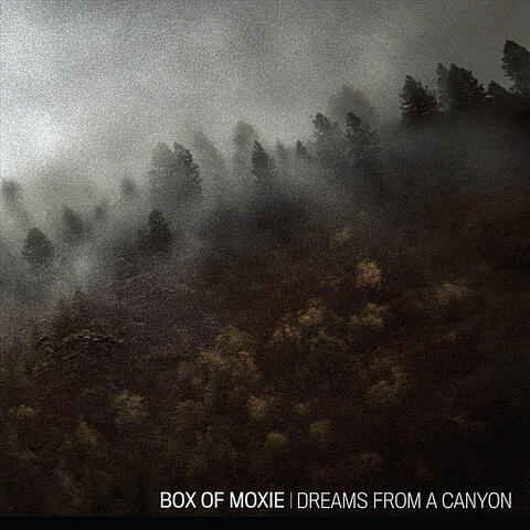 Dreams from a Canyon