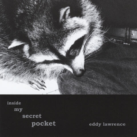 Inside My Secret Pocket