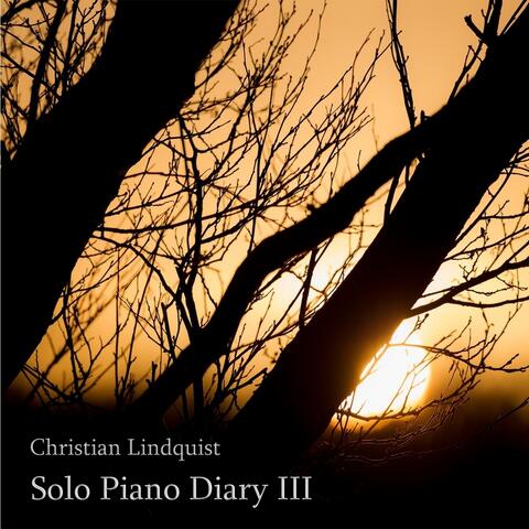 Solo Piano Diary III