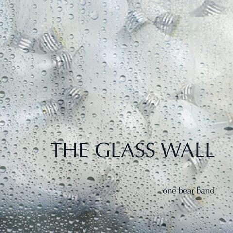The Glass Wall